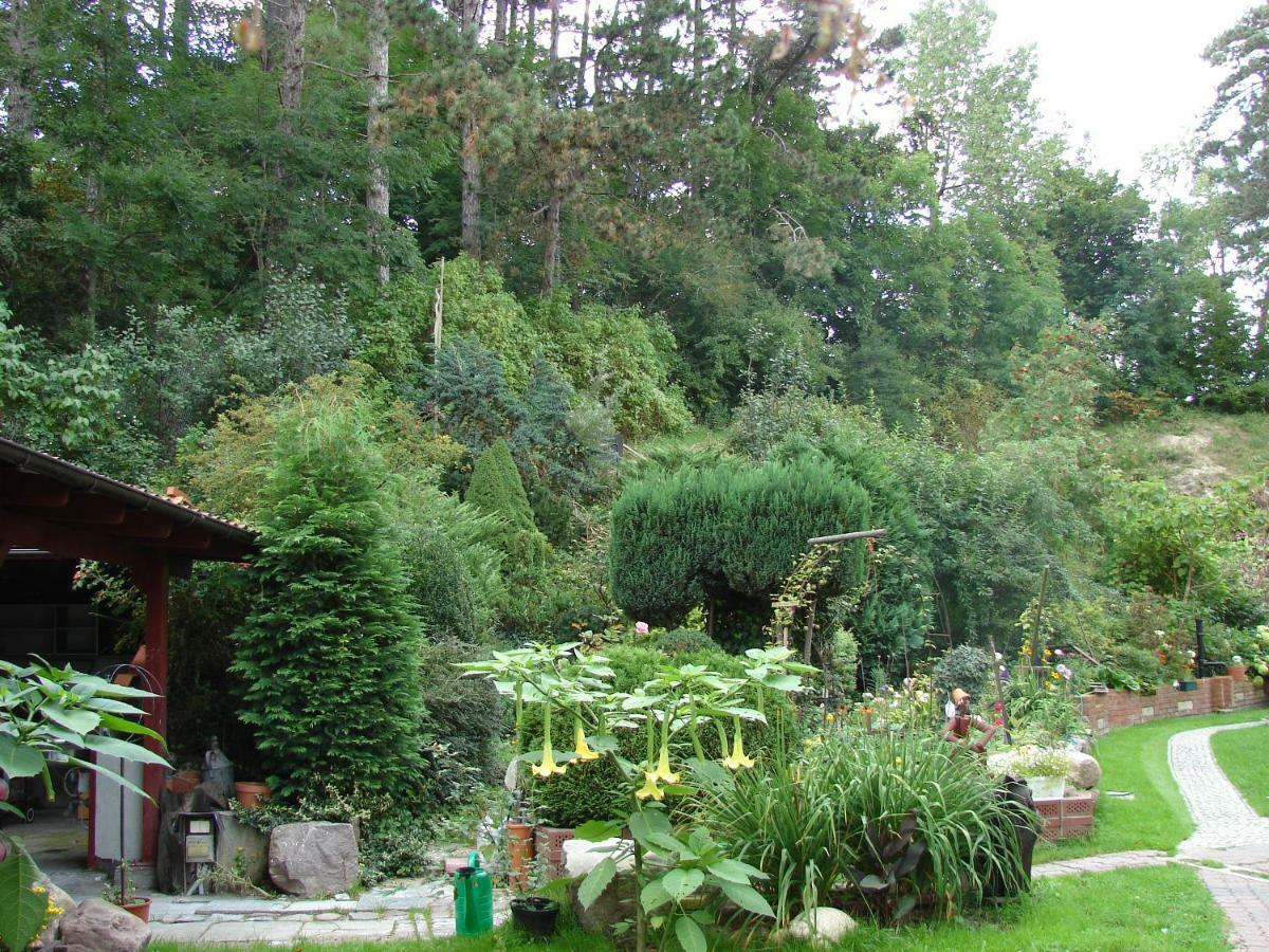 Villa Mielno-Eko Mielno  Exterior foto